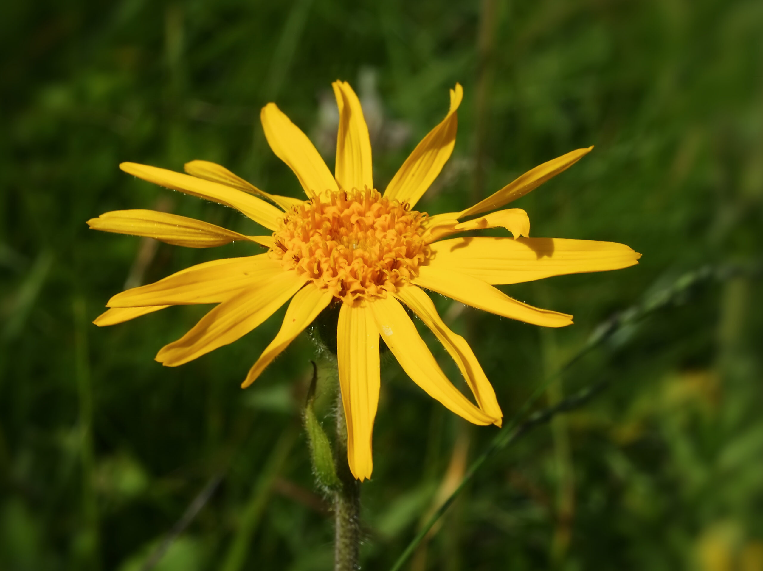 blog-post